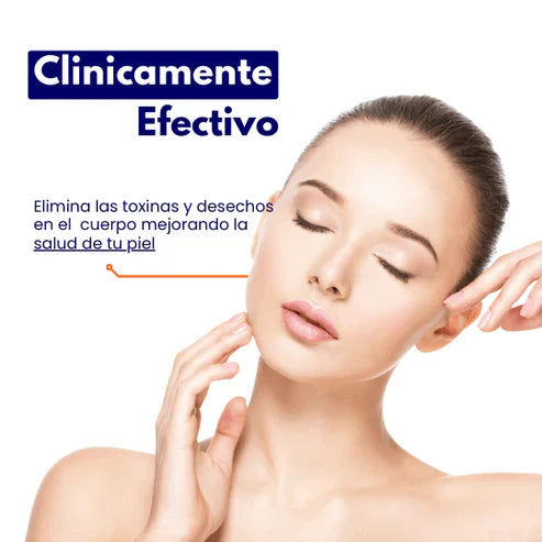 Encabezado