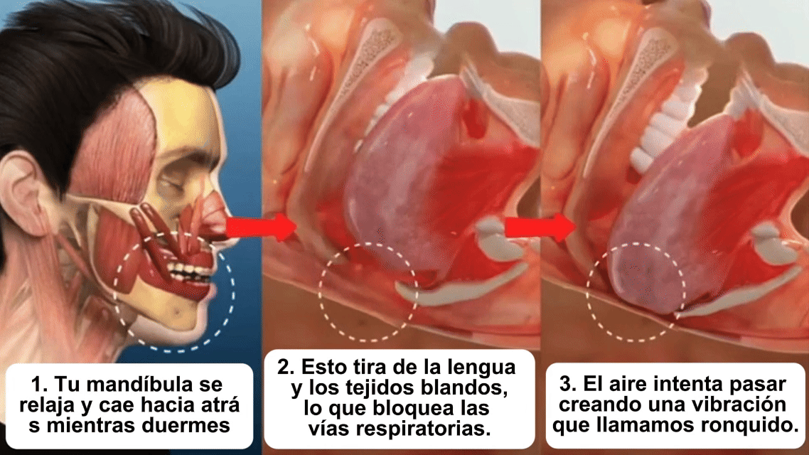 Encabezado