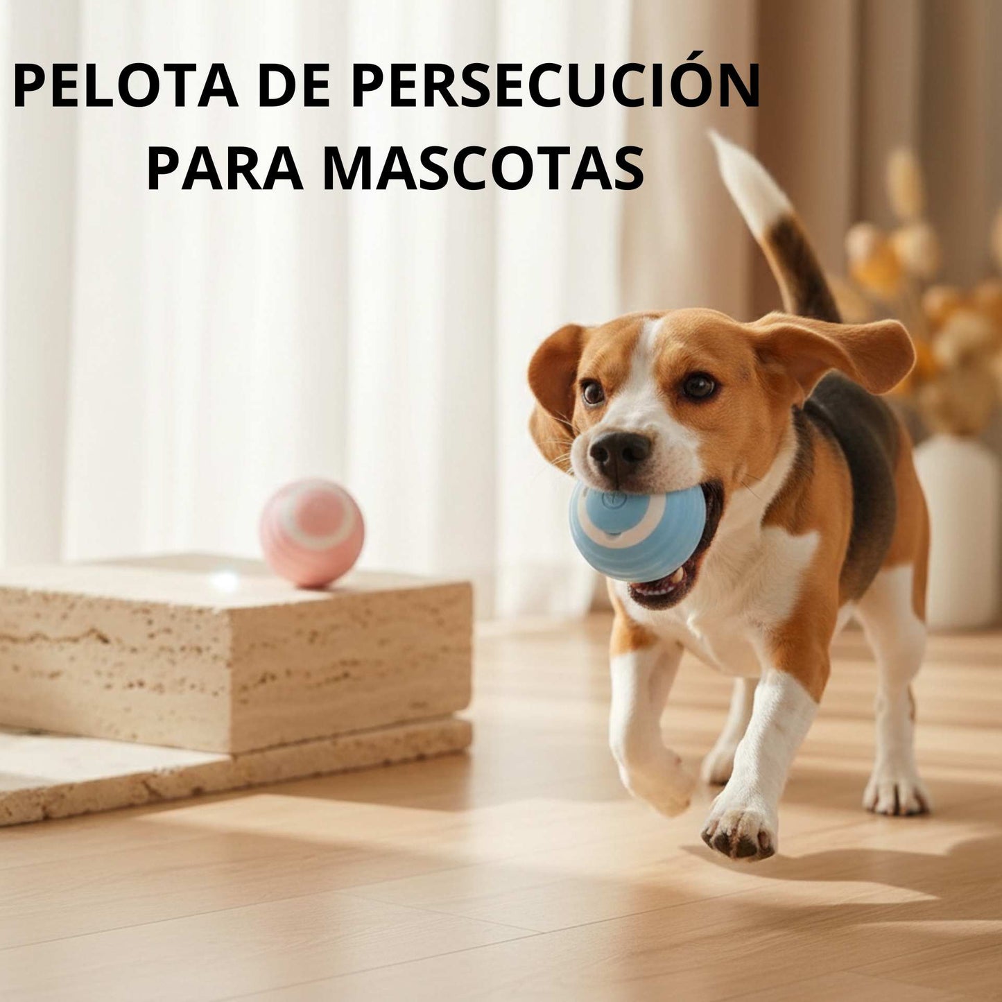 Pelota de persecución - Adiós al estrés, ahora ejercita tu mascota. SOLO POR HOY 2X1
