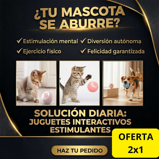 Pelota de persecución - Adiós al estrés, ahora ejercita tu mascota. SOLO POR HOY 2X1