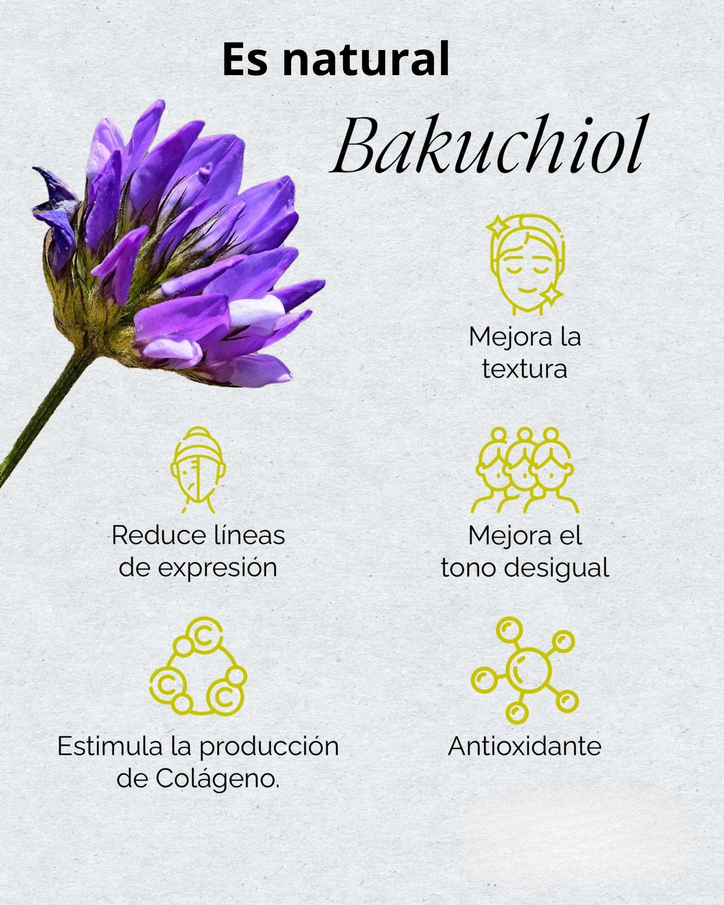 SERUM  MULTI EFECTO BAKUCHIOL MOIKA® - ACLARA, UNIFICA. SIMILAR AL RETINOL, PERO NATURAL.