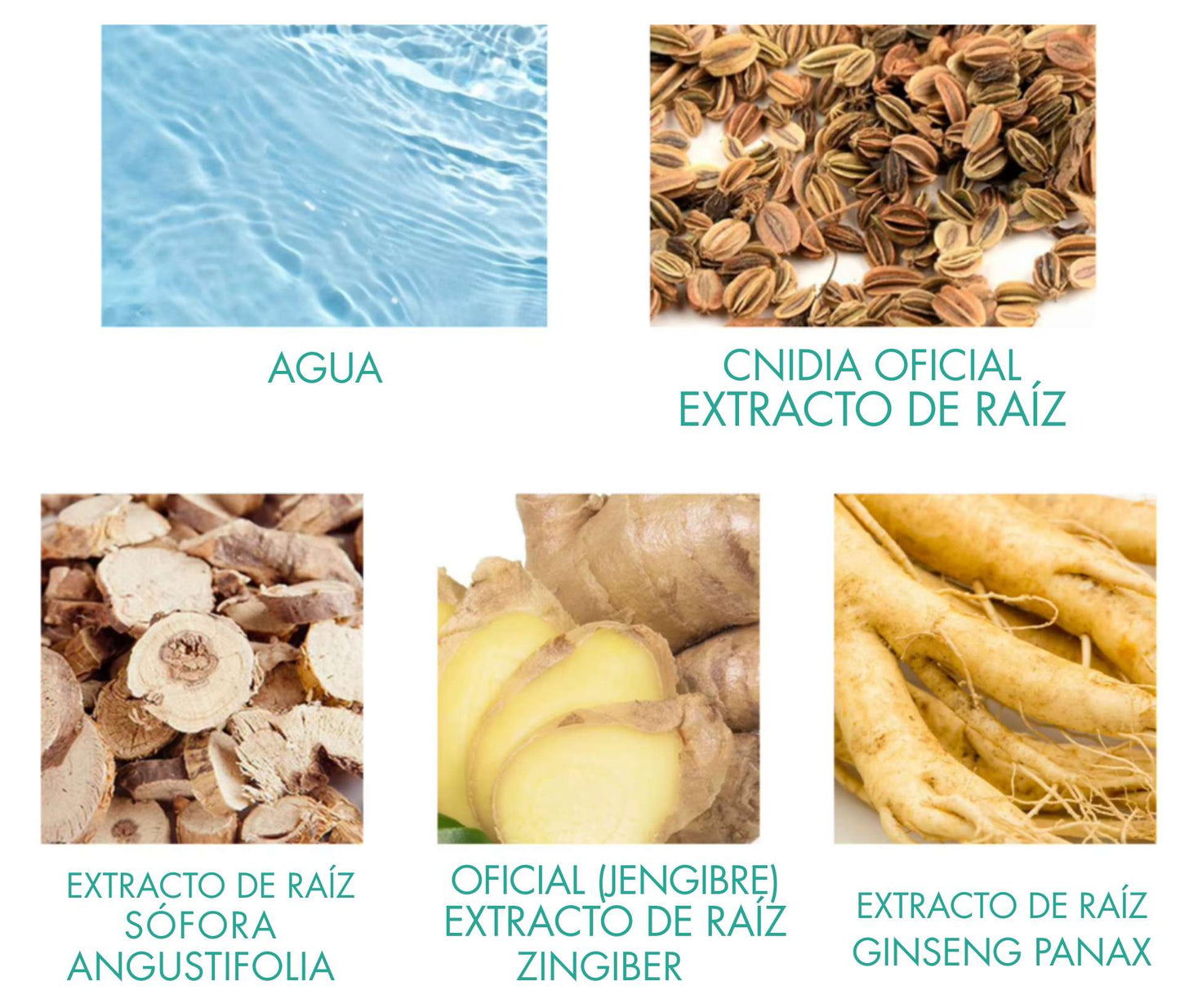 Crema Herbal Hemorrhoid® - Desaste de las hemorriodes para siempre