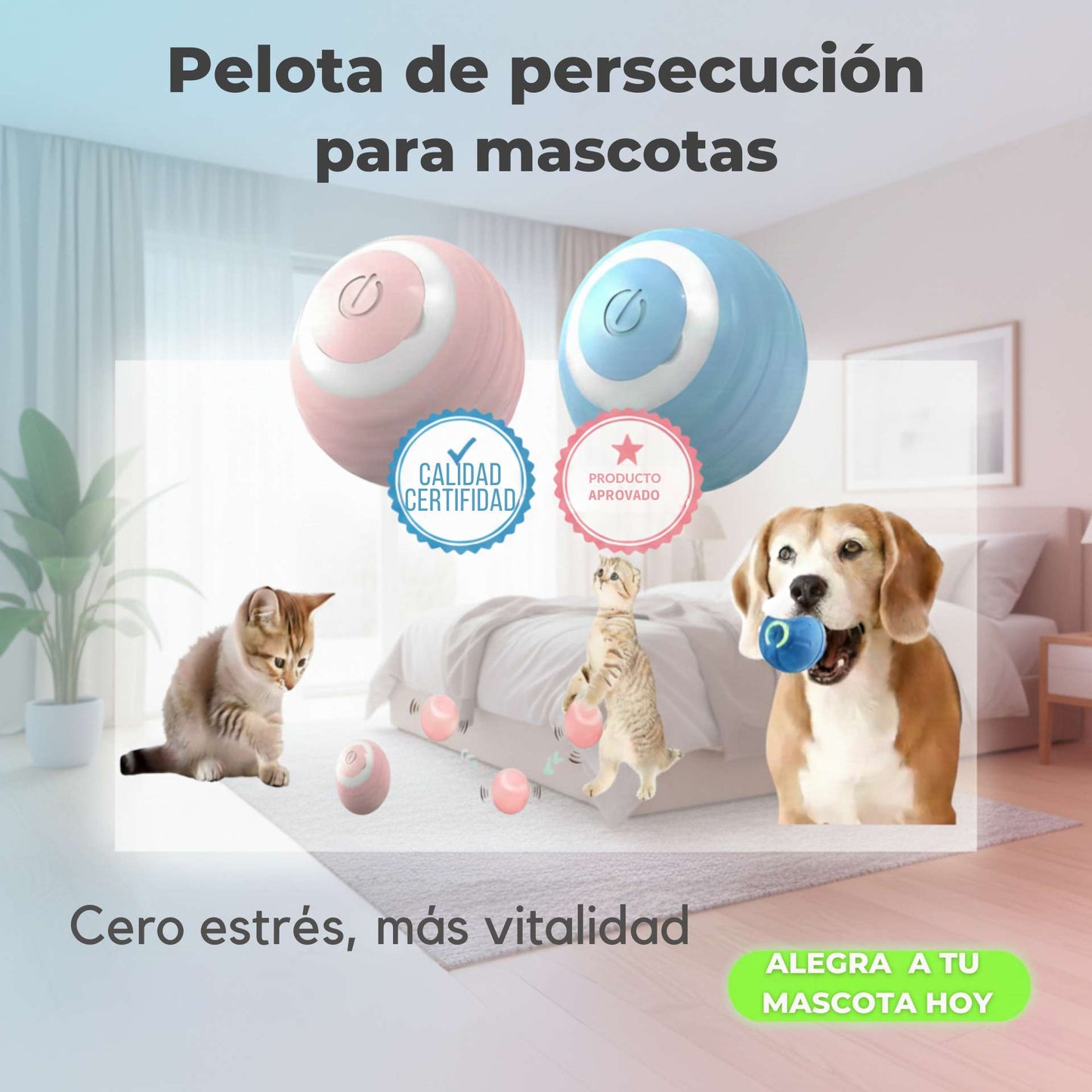 Pelota de persecución - Adiós al estrés, ahora ejercita tu mascota. SOLO POR HOY 2X1