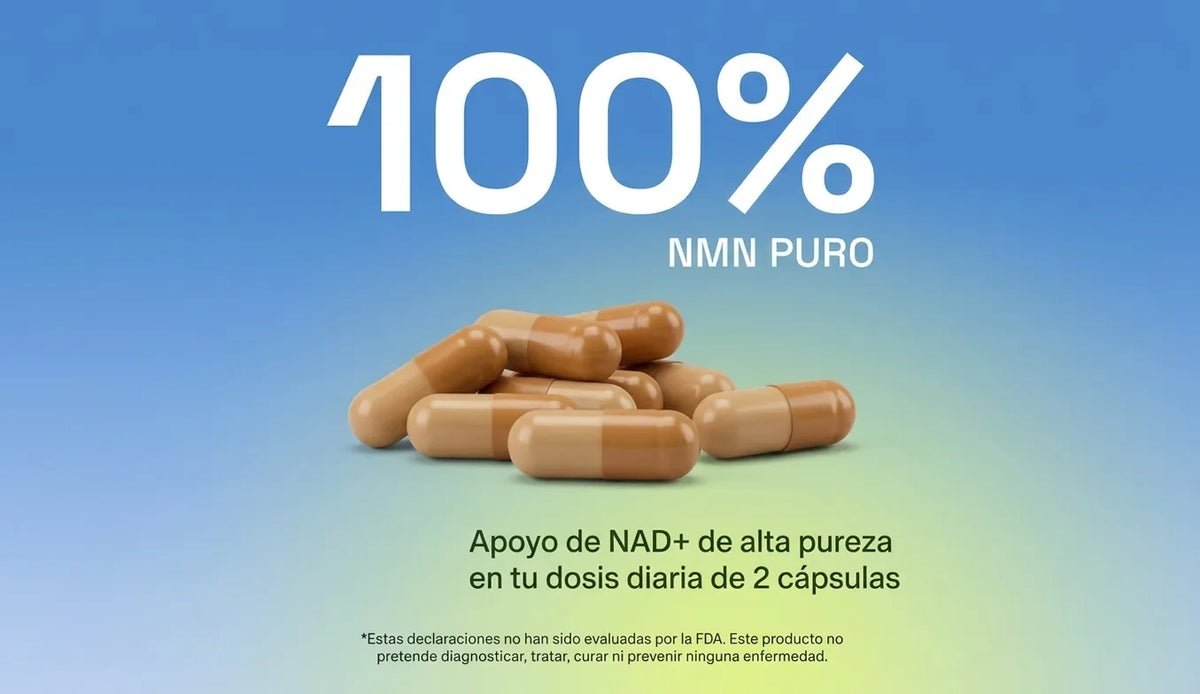 Cata-Kor 02_purenmn.webp