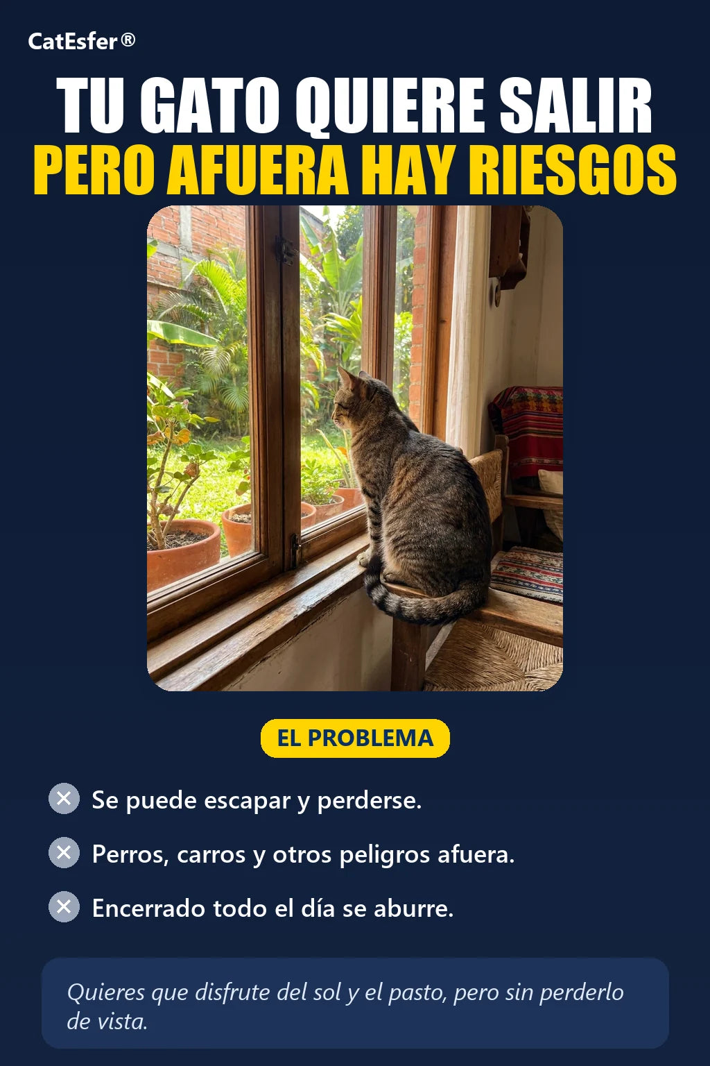 catesfer-esfera-para-gatos catesfer-02_problema.webp