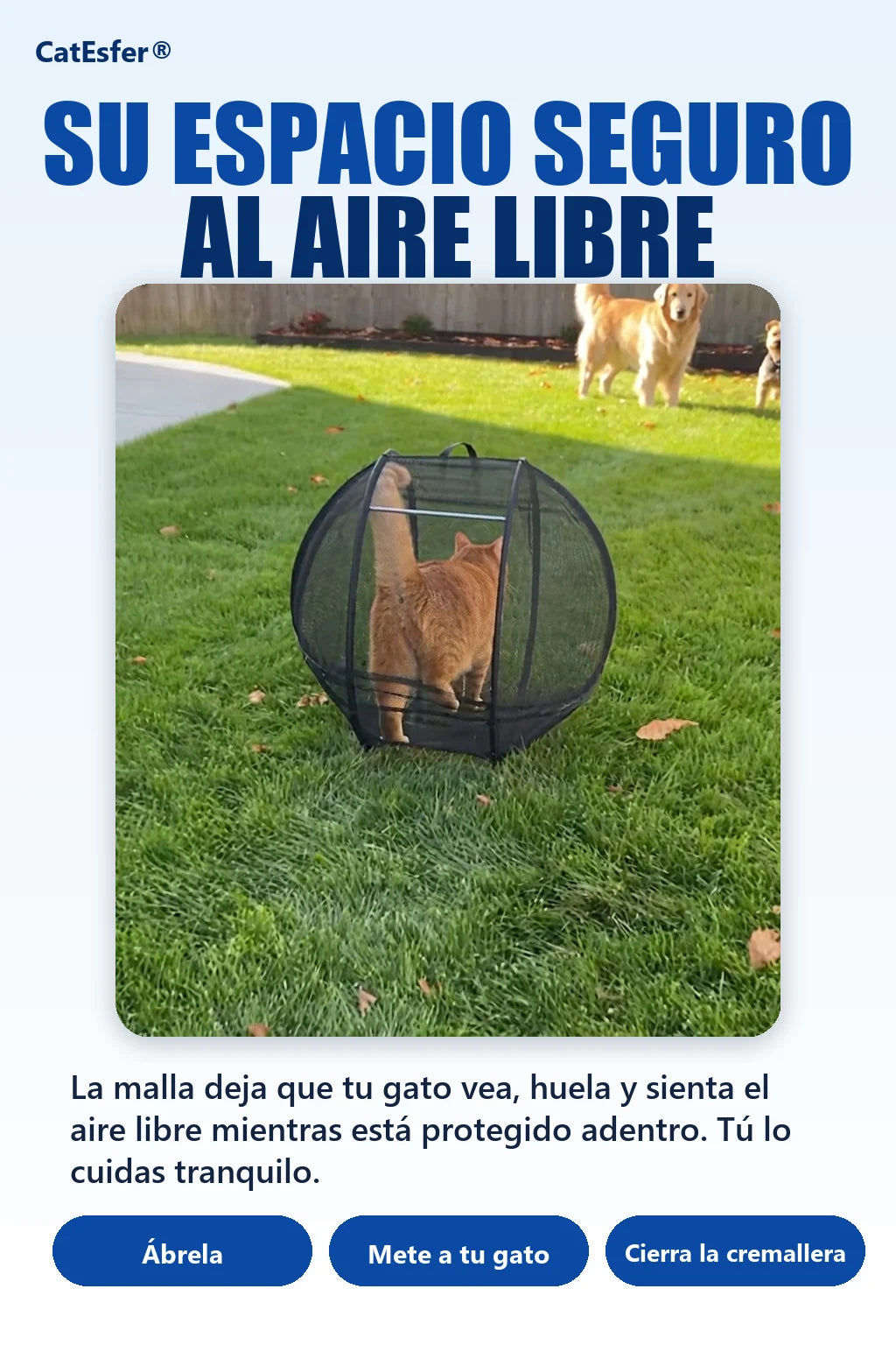 catesfer-esfera-para-gatos catesfer-03_solucion.webp