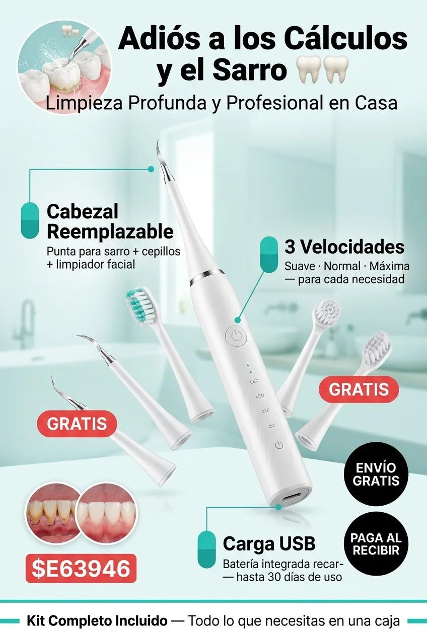 06 ficha tecnica