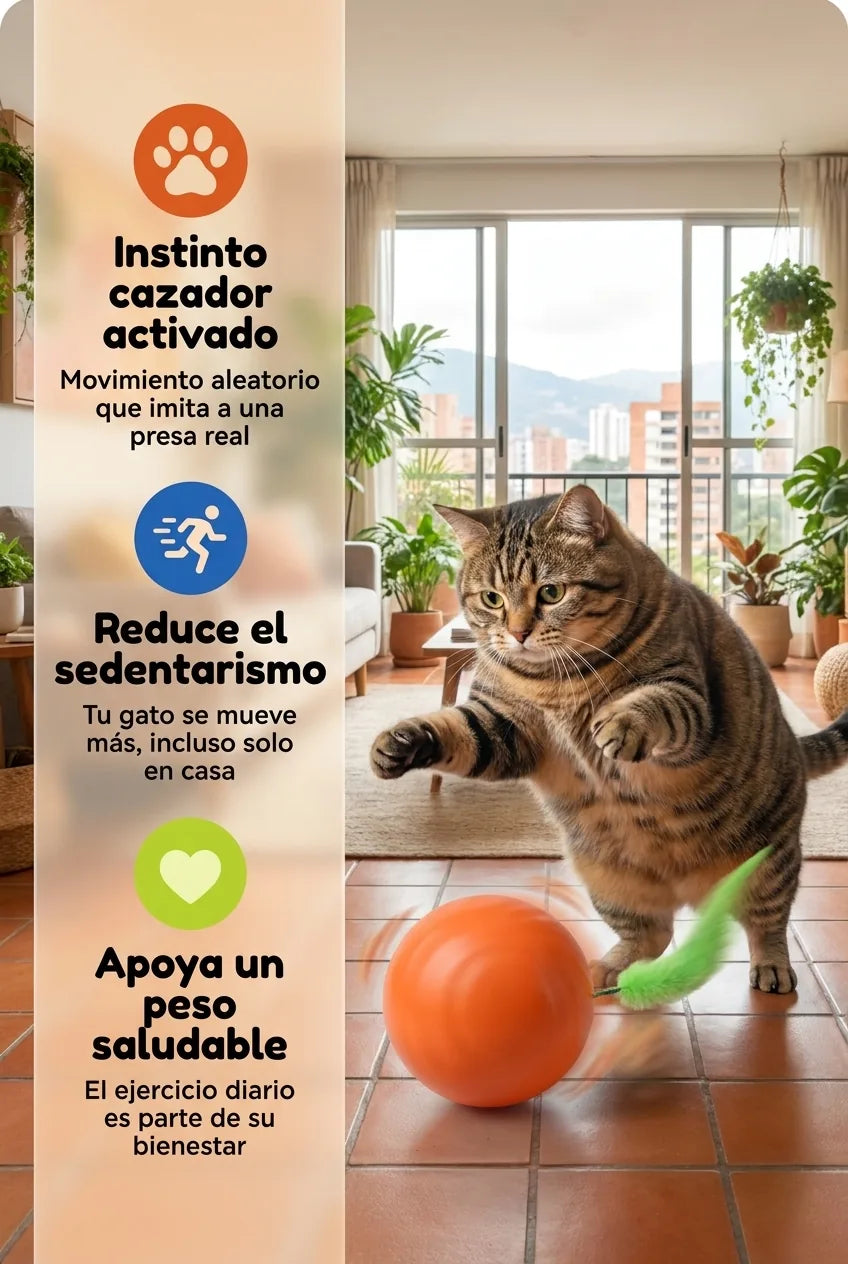 5 beneficios
