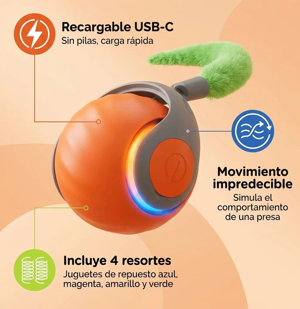 6 ficha tecnica